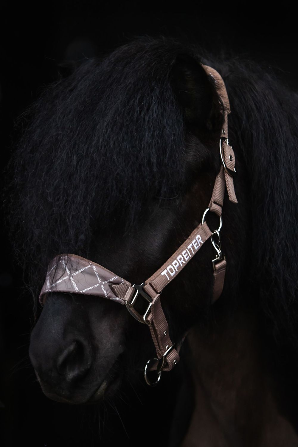 Top Reiter KLAKI Halter Set