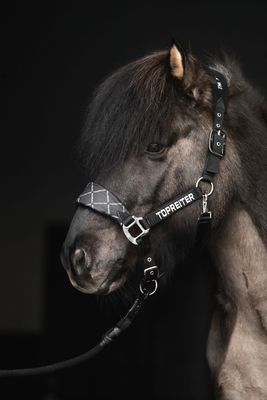 Top Reiter KLAKI Halter Set