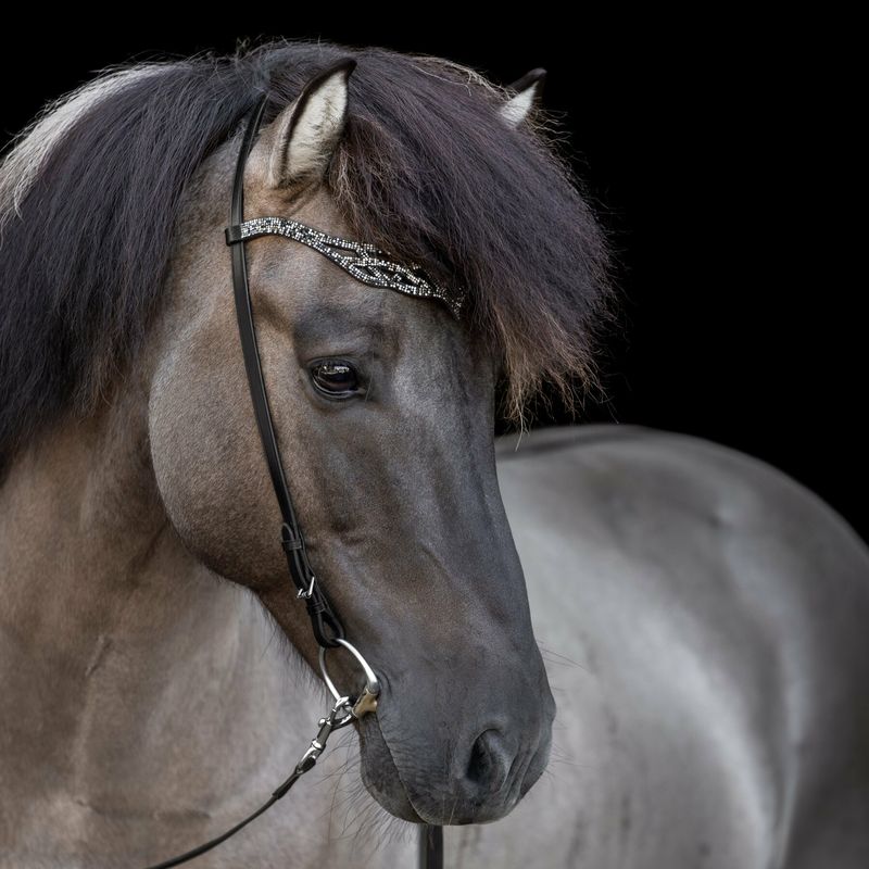 Hrimnir Heritage Headstall B, Fire and Ice