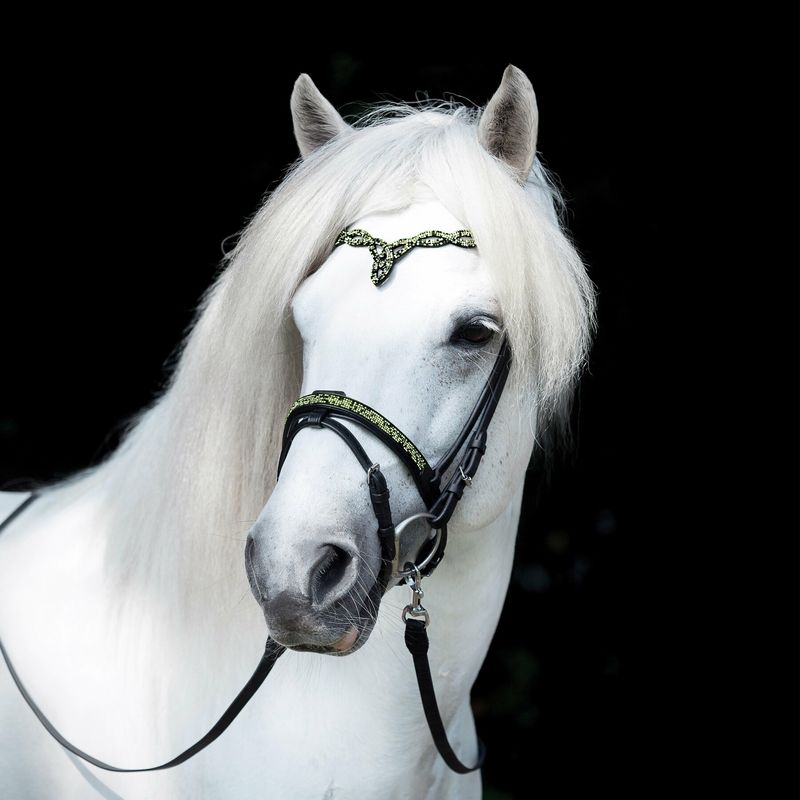 Hrimnir Flash Noseband Aurora