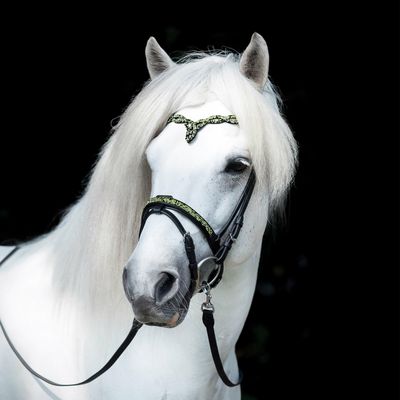Hrimnir Flash Noseband Aurora