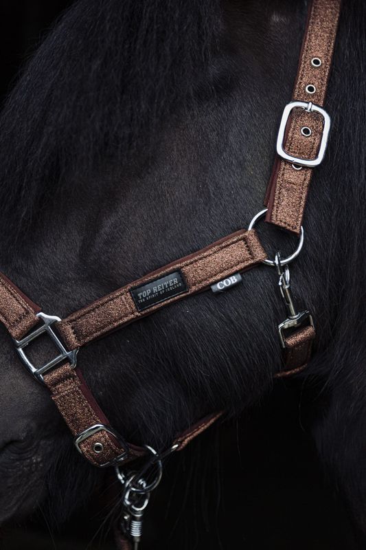Top Reiter GLITRANDI Halter Set, Copper