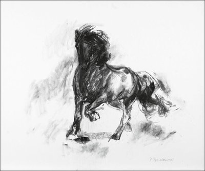 Spirit I