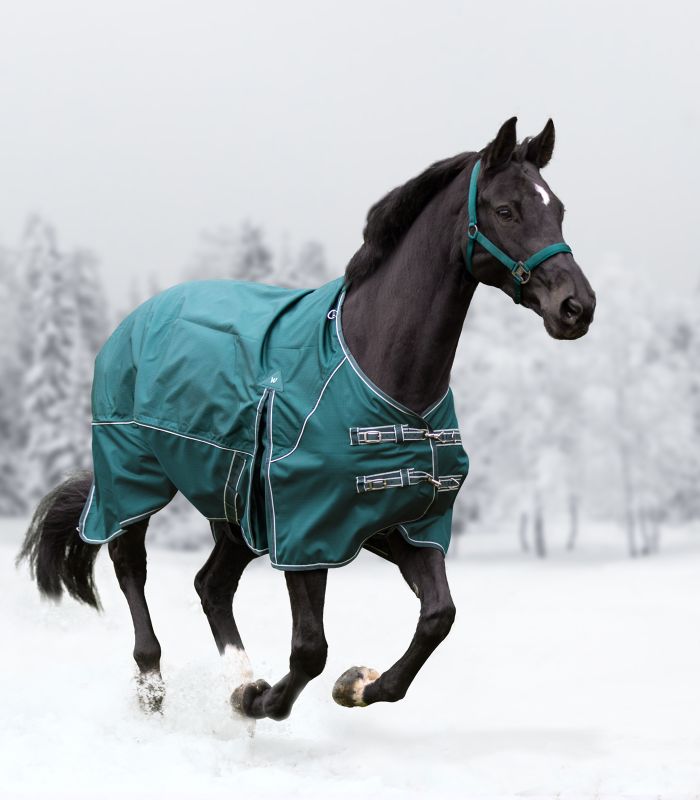 Waldhausen COMFORT Turnout Rug, Lightweight Waldhausen COMFORT Turnout Rug, Lightweight