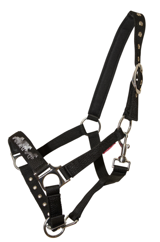 Karlslund Young Horse Halter