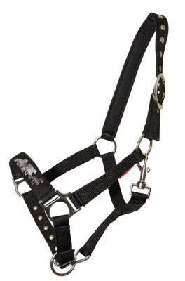 Karlslund Young Horse Halter