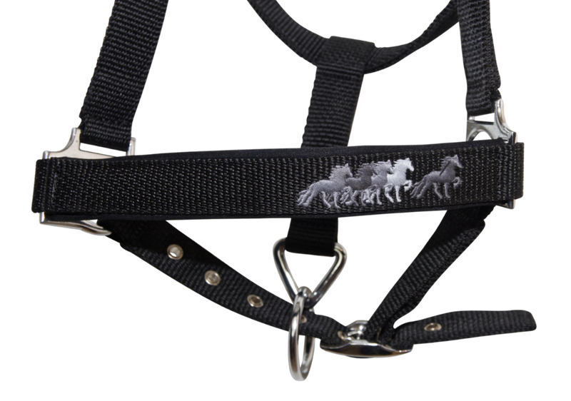 Karlslund Young Horse Halter