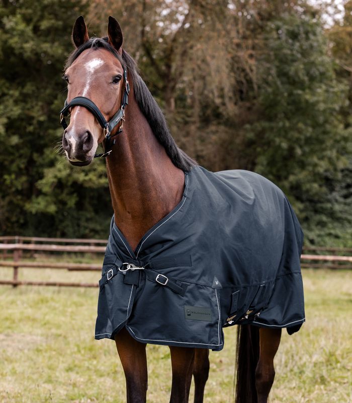Waldhausen SCANDIC Turnout Rug, Light