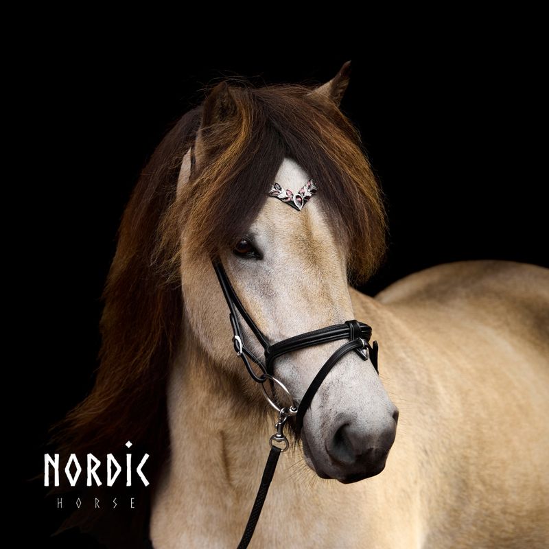Nordic Horse Headstall BORDEAUX  LEAVES