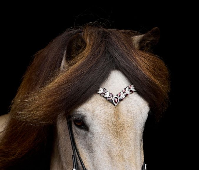 Nordic Horse Browband BORDEAUX LEAVES