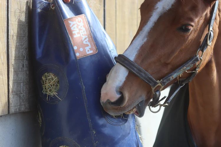 Hay Play Slow Feed Tie Bag