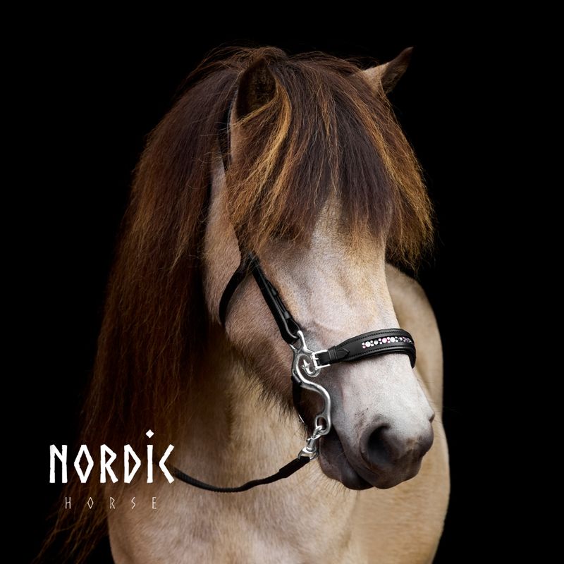 Nordic Horse Hackamore PINK MIX