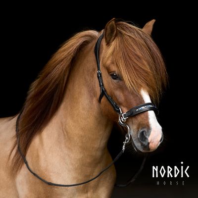 Nordic Horse Hackamore BLUE MIX
