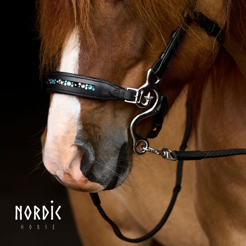 Nordic Horse Hackamore TURQUOISE MIX