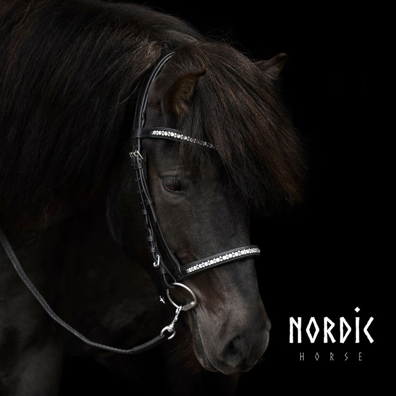 Nordic Horse Browband ALL WHITE