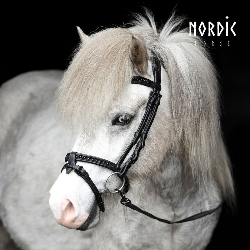 Nordic Horse M&amp;M Flash Noseband ALL