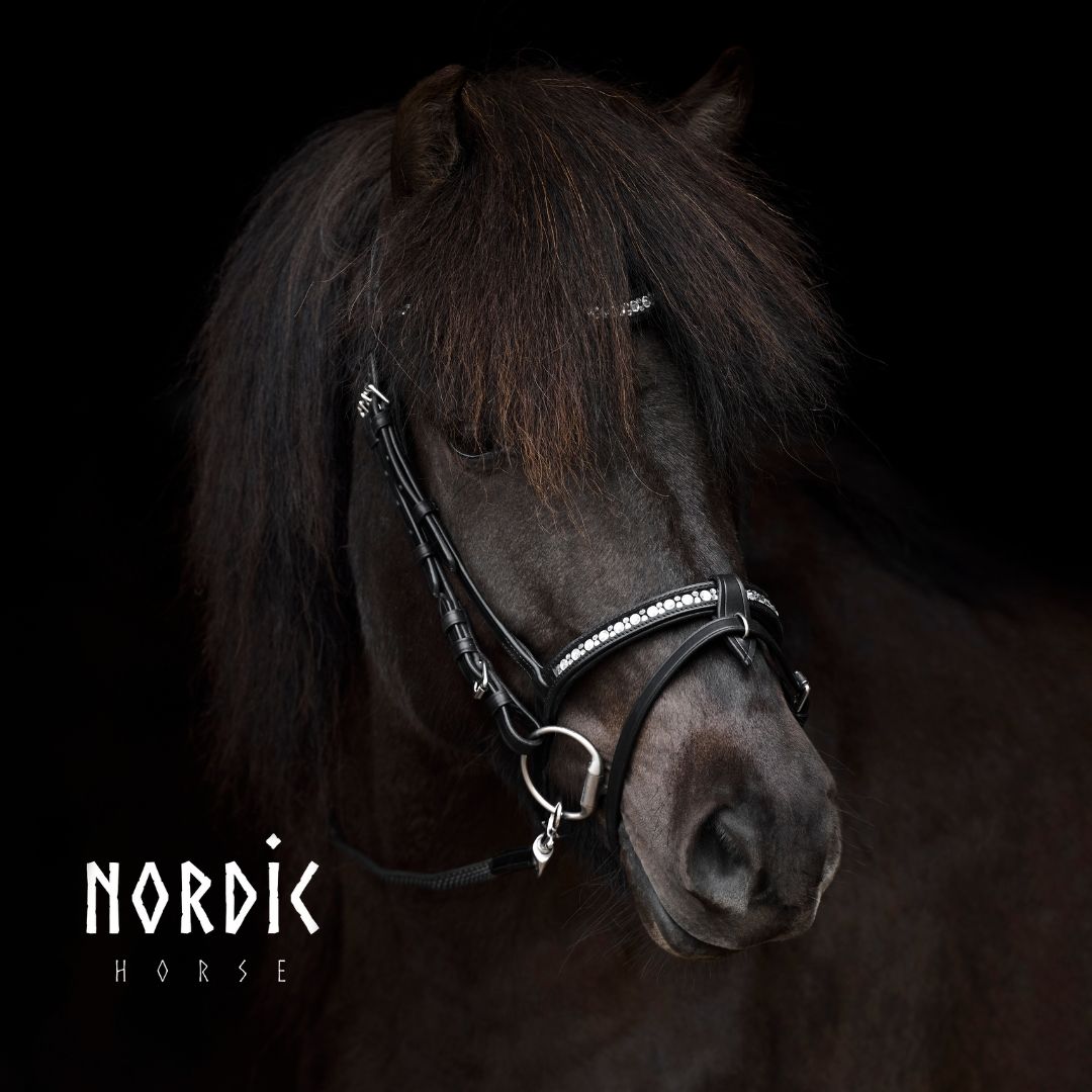 Nordic Horse M&amp;M Flash Noseband ALL