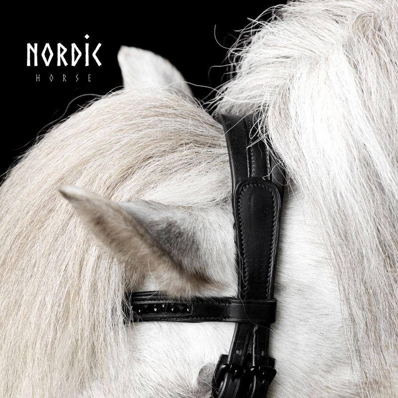 Nordic Horse M&amp;M Relief Headpiece