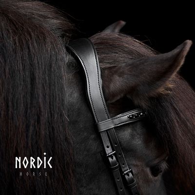Nordic Horse M&amp;M Anatomical Headpiece