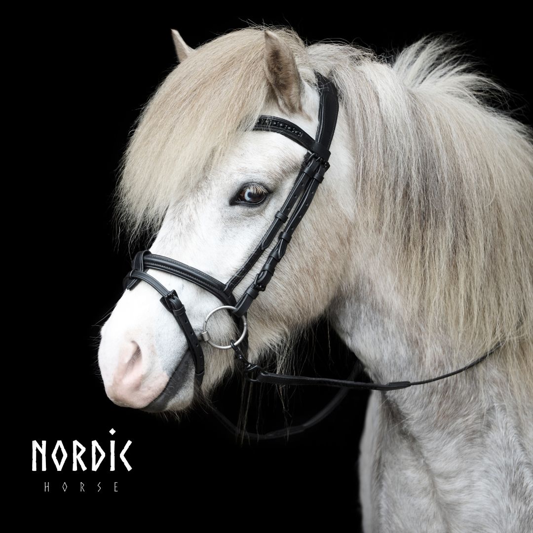 Nordic Horse M&amp;M Flash Noseband