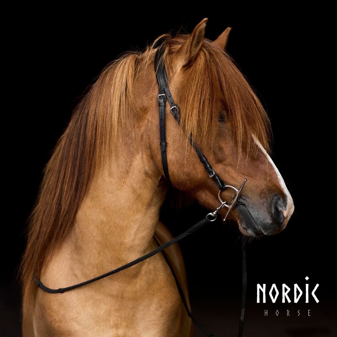 Nordic Horse M&amp;M Throatlatch