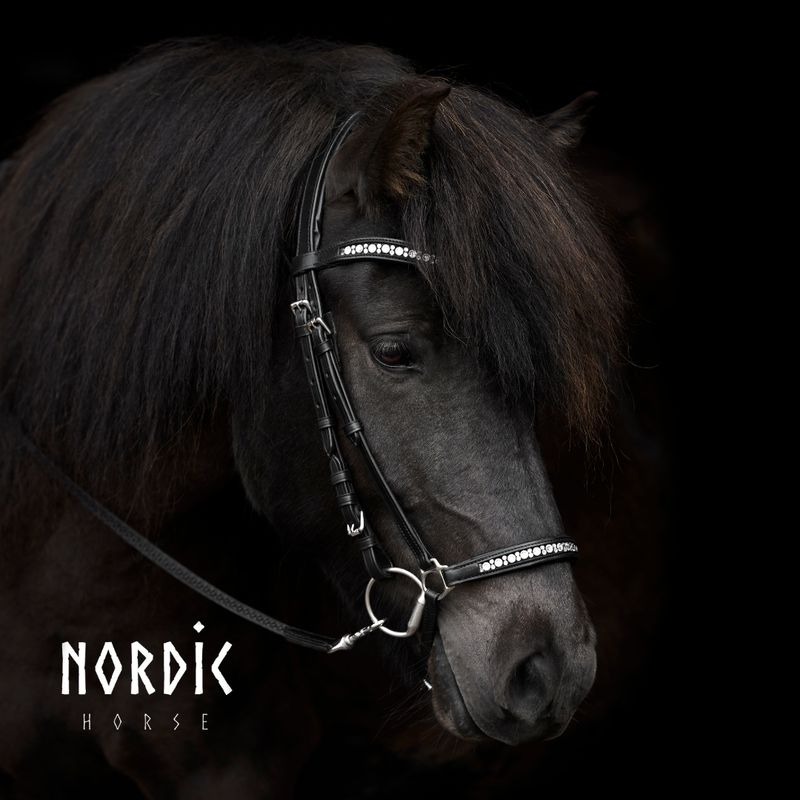 Nordic Horse M&amp;M Drop Noseband ALL