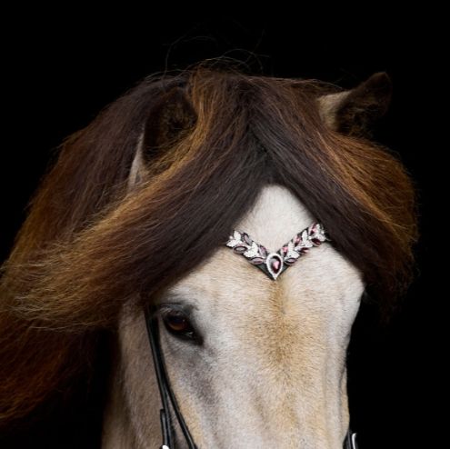 Nordic Horse Browband BORDEAUX LEAVES