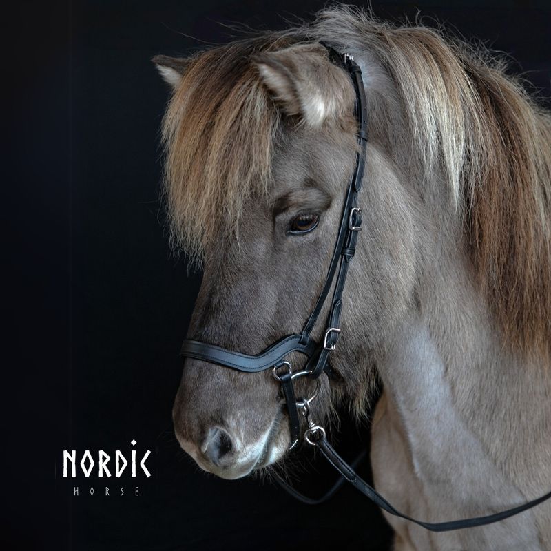 Nordic Horse Anatomical Flash Noseband
