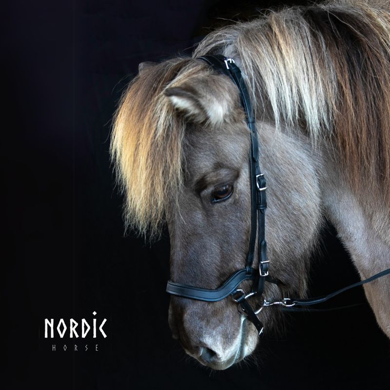 Nordic Horse Anatomical Flash Noseband