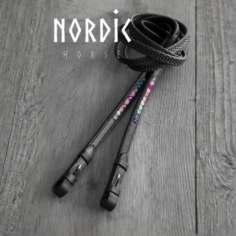 Nordic Horse RAINBOW Biothane Reins