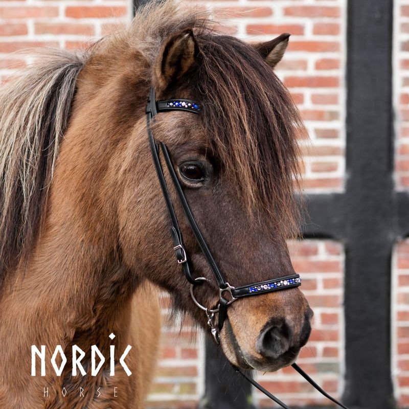 Nordic Horse Drop Noseband COLOUR MIX