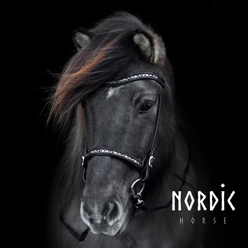 Nordic Horse Flash Noseband COLOUR MIX