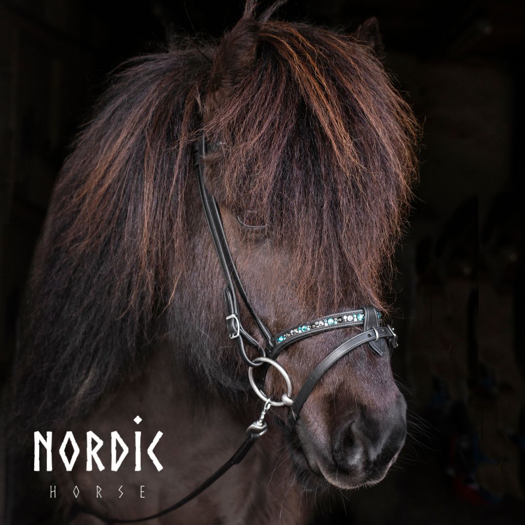 Nordic Horse Flash Noseband COLOUR MIX