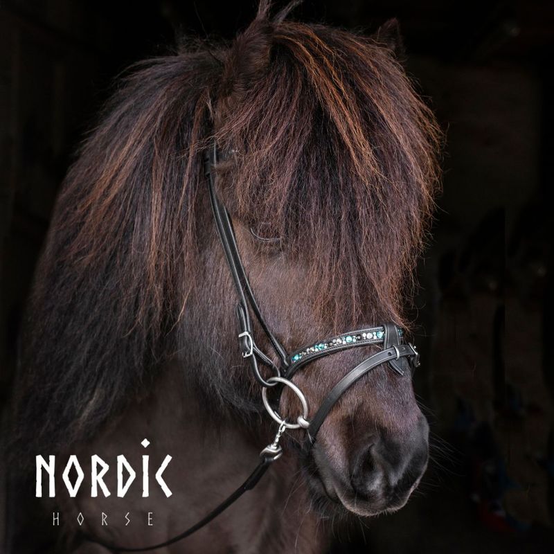 Nordic Horse Flash Noseband COLOUR MIX