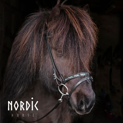 Nordic Horse Flash Noseband COLOUR MIX
