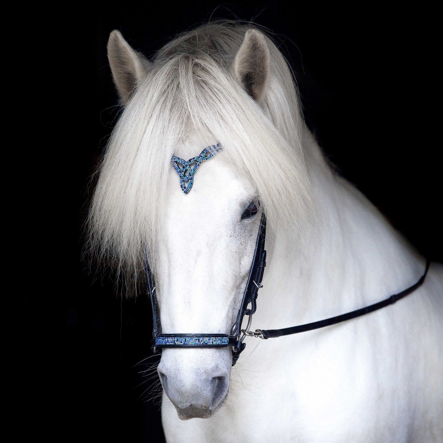 Hrimnir Heritage Headstall F, Blue Lagoon