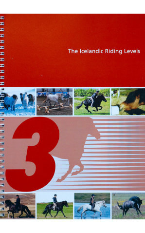 Icelandic Riding Levels 3