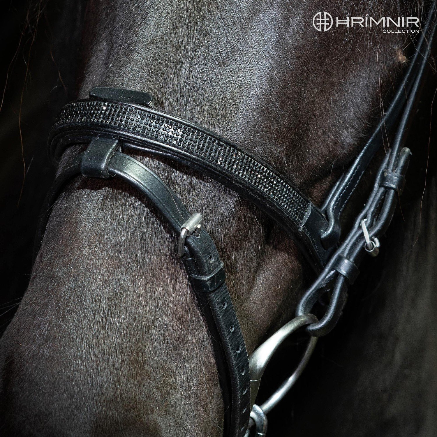Hrimnir Flash Noseband Lava