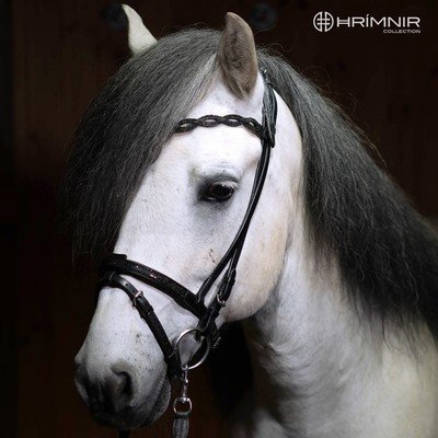 Hrimnir Flash Noseband Lava