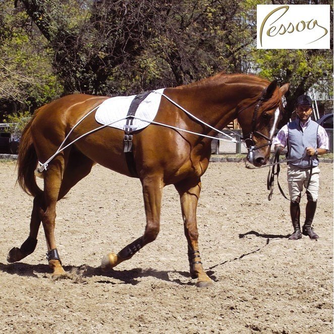 Pessoa Training Aid