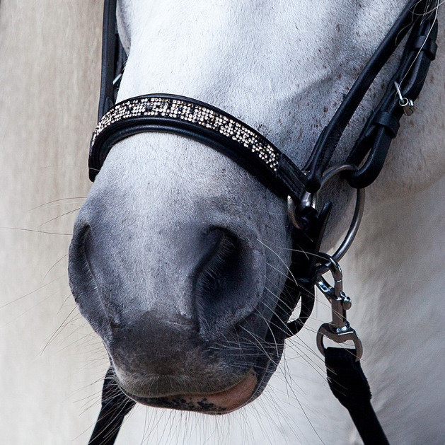 Hrimnir Drop Noseband Fire and Ice