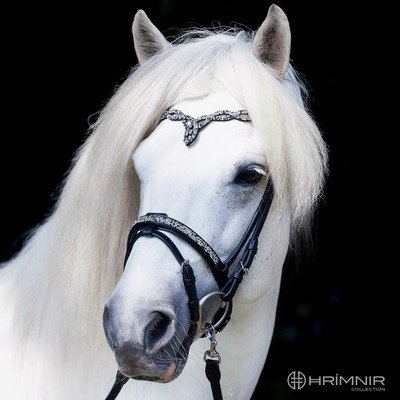 Hrimnir Flash Noseband Fire and Ice
