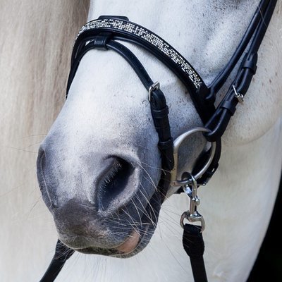 Hrimnir Flash Noseband Fire and Ice