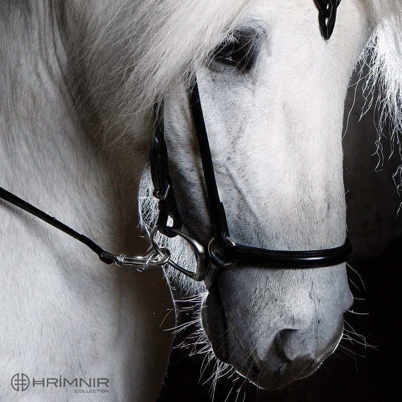 Hrimnir Drop Noseband Classic