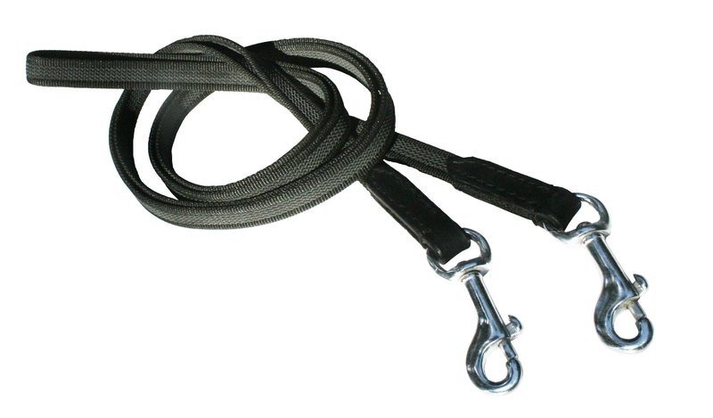 Web Reins