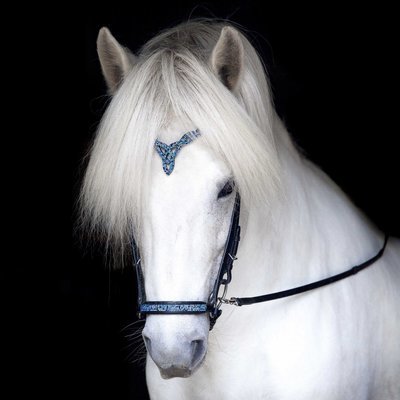 Hrimnir Drop Noseband Blue Lagoon