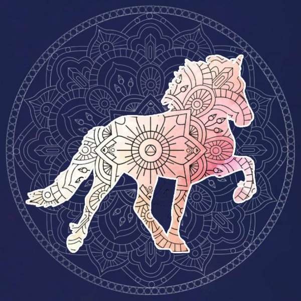HGG - Mandala T-Shirt