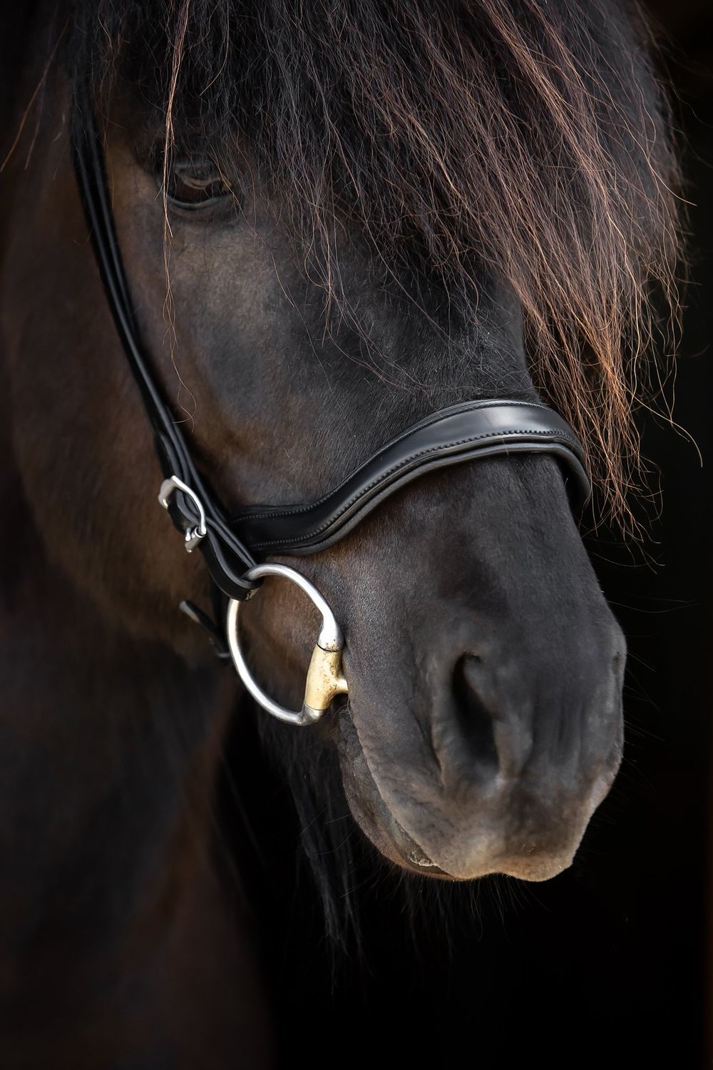 Top Reiter "SOFT LINE" Anatomical English Noseband