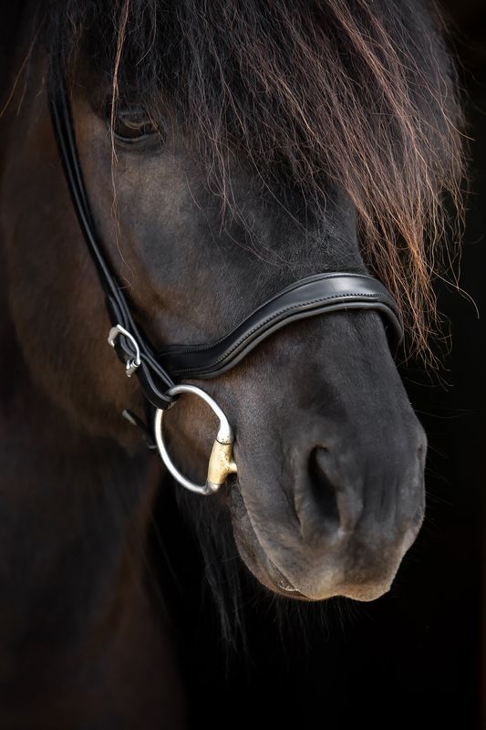 Top Reiter "SOFT LINE" Anatomical English Noseband
