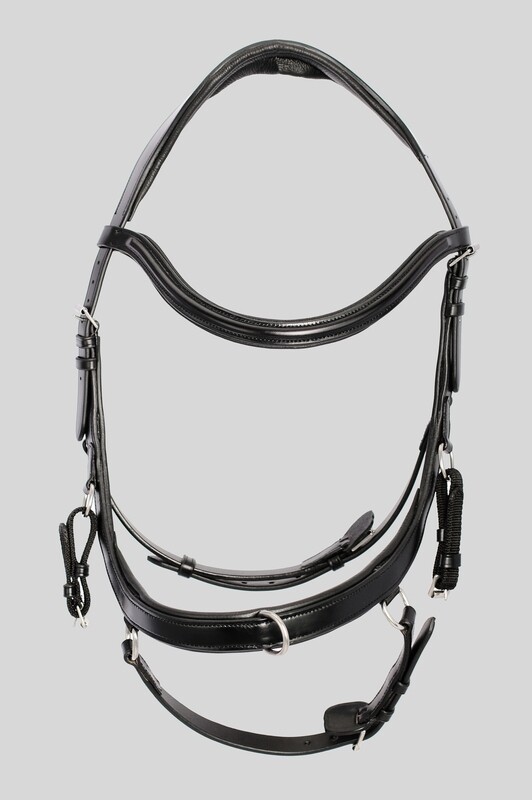 Top Reiter Training Bridle